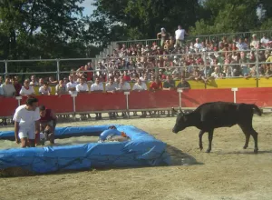 Feria_de_Marboz_2005_4