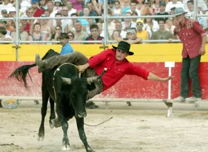 Feria_de_Marboz_2005_8