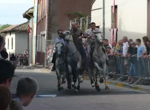 Feria_de_Marboz_2007_12