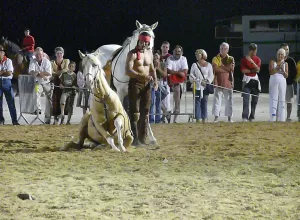 Feria_de_Marboz_2007_14