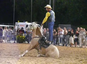 Feria_de_Marboz_2007_15