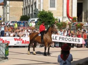 Feria_de_Marboz_2007_4