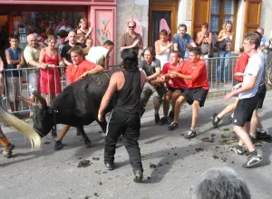 Feria_de_Marboz_2007_6