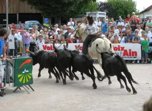 Feria_de_Marboz_2007_8