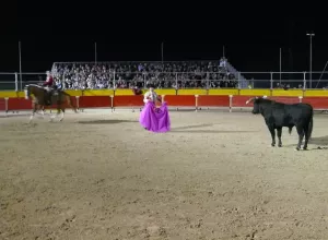 Féria de Marboz 2008