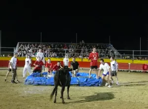 Feria_de_Marboz_2008_12