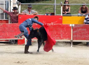 Feria_de_Marboz_2010_3