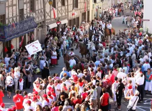 Feria_de_Marboz_2010_9