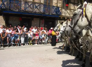 Feria_de_Marboz_2011_14
