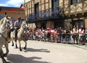 Feria_de_Marboz_2011_16