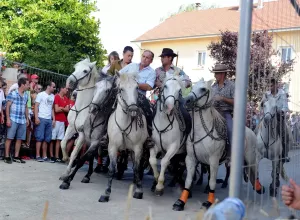 Féria de Marboz 2013