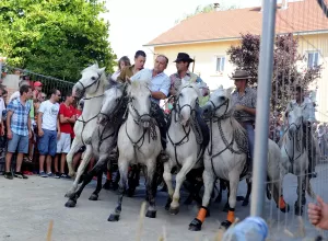 Feria_de_Marboz_2013_21