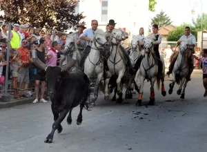 Feria_de_Marboz_2013_6