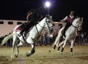 Feria_de_Marboz_2014_32