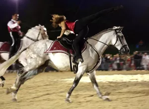 Feria_de_Marboz_2014_33