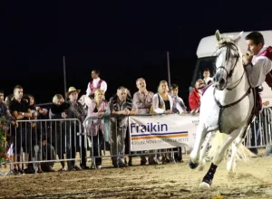 Feria_de_Marboz_2014_34