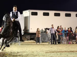 Feria_de_Marboz_2014_35
