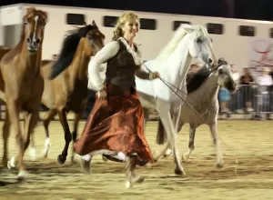Feria_de_Marboz_2014_39