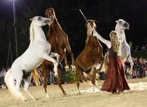 Feria_de_Marboz_2014_41