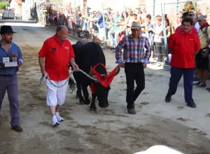 Feria_de_Marboz_2015_19