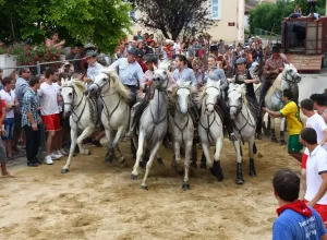 Feria_de_Marboz_2015_26