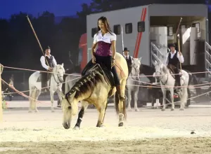 Féria de Marboz 2016