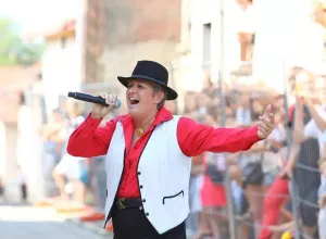 Feria_de_Marboz_2016_1