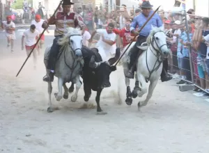 Feria_de_Marboz_2016_12