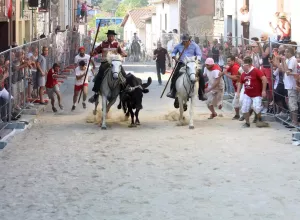 Feria_de_Marboz_2016_16