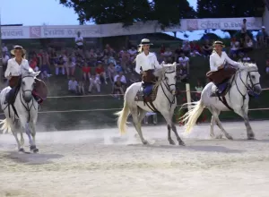 Feria_de_Marboz_2016_4