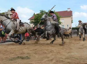 Feria_de_Marboz_2018_14