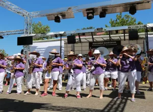 Feria_de_Marboz_2018_35