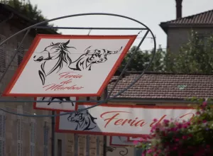 Feria_de_Marboz_2018_50