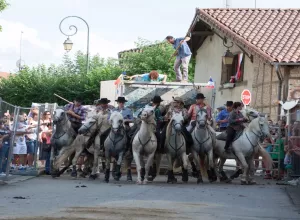 Feria_de_Marboz_2018_54