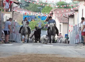 Feria_de_Marboz_2018_56