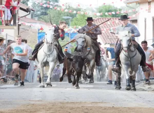 Feria_de_Marboz_2018_57