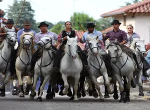 Feria_de_Marboz_2019_13