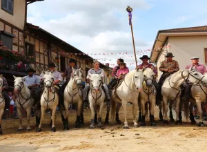 Feria_de_Marboz_2019_22