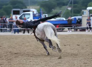 Feria_de_Marboz_2019_53
