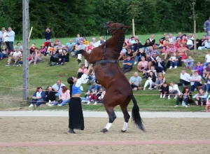 Feria_de_Marboz_2019_55