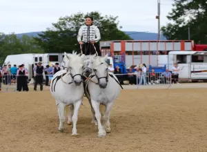 Feria_de_Marboz_2019_56