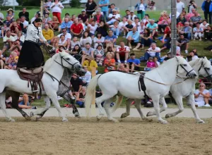 Feria_de_Marboz_2019_57