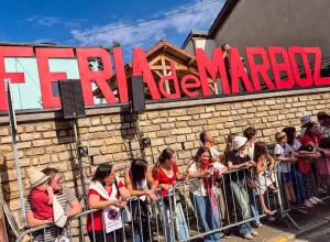 feria_de_Marboz_2025_118