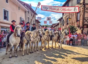 feria_de_Marboz_2025_128