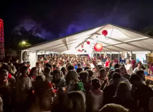 feria_de_Marboz_2025_133