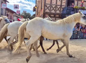 feria_de_Marboz_2025_137