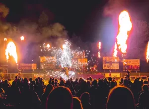 feria_de_Marboz_2025_66