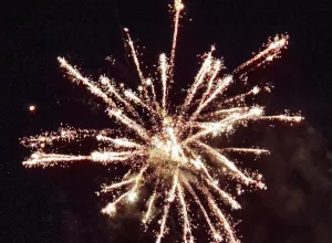 feria_de_Marboz_2025_67