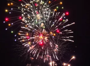 feria_de_Marboz_2025_70