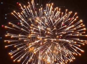 feria_de_Marboz_2025_71